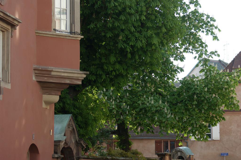 Quai 17 Maison D'Hotes Estrasburgo Exterior foto
