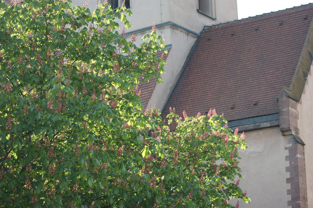 Quai 17 Maison D'Hotes Estrasburgo Exterior foto